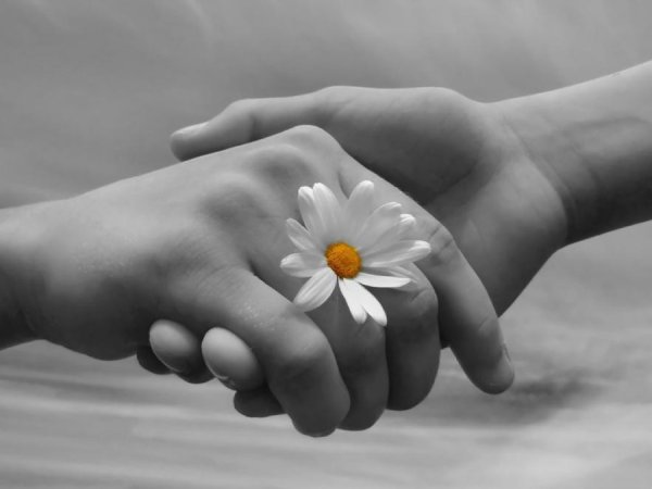 Матери прекрасные глаза