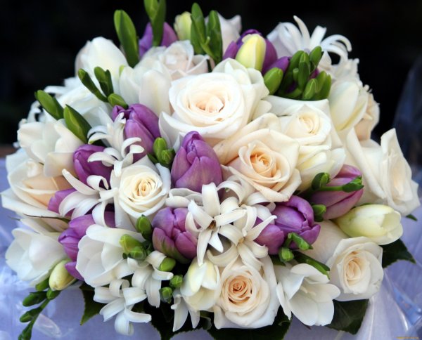 Розы и тюльпаны