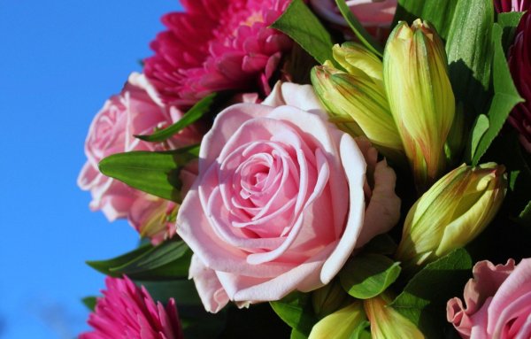 Розы лилии тюльпаны