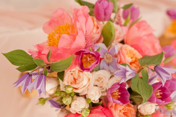 Пионы розы тюльпаны