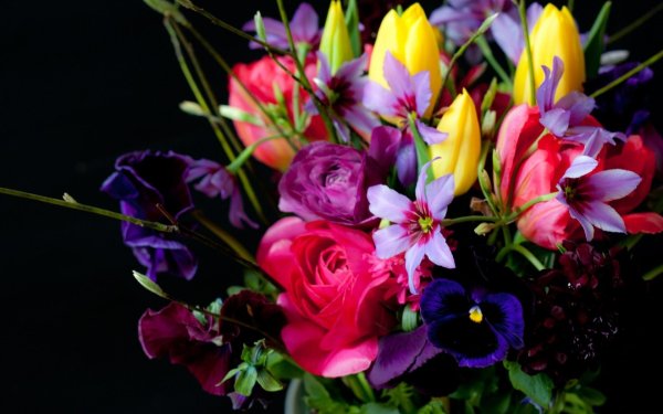 Ранункулюсы и тюльпаны букет