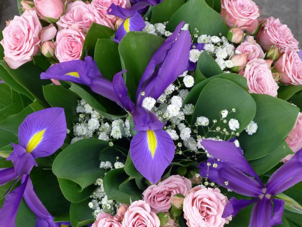 Цветы тюльпаны розы ромашки