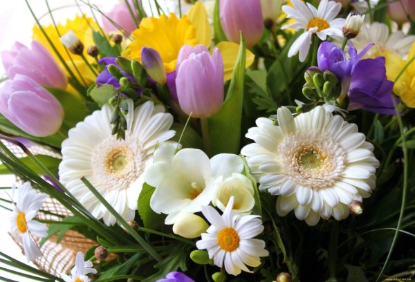 Розы и тюльпаны