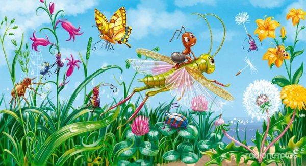 Луг с насекомыми