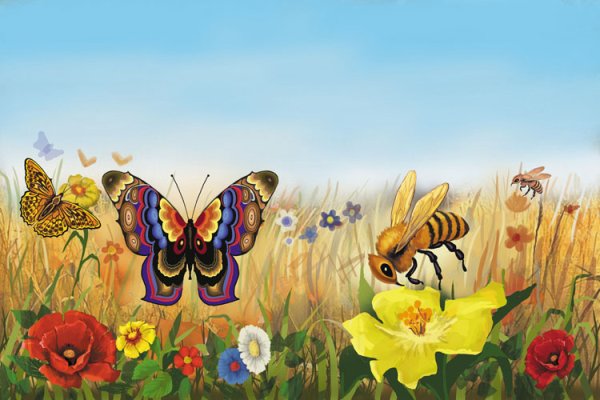 Бабочки летают над лугом