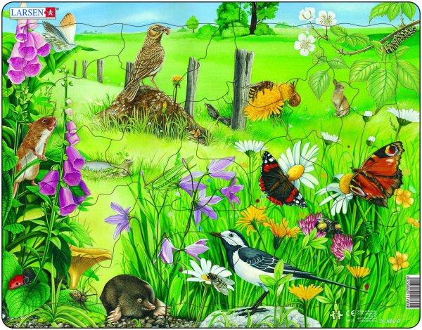 Полянка с насекомыми