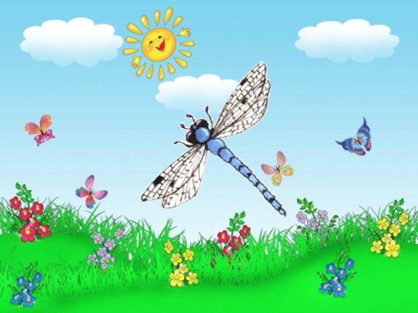 Цветы и бабочки. Раскраска