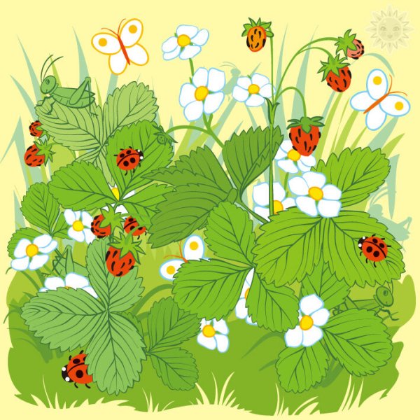 Мир глазами кузнечика рисунок