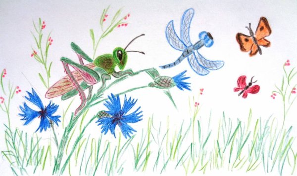 Лето глазами детей