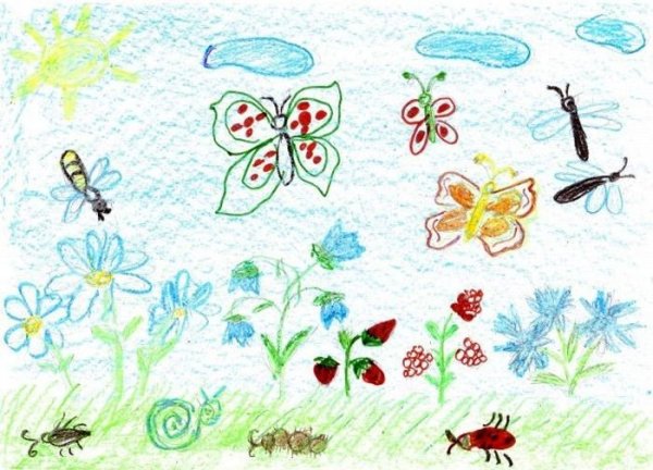 Луг и его обитатели