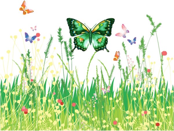 Пчелы на Поляне