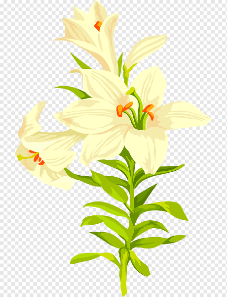 Лилии мультяшные