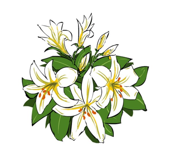 Букет лилий для срисовки