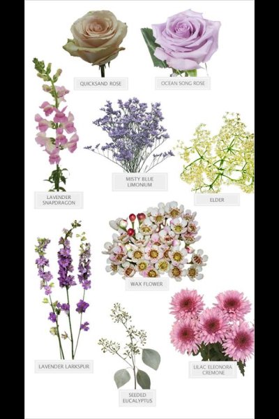 Цветы для букетов названия с картинками
