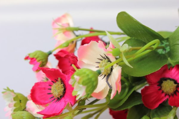 Маттиола кустовая