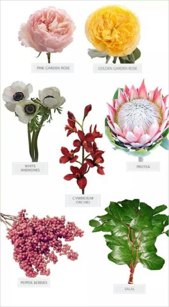 Названия цветов растений для букетов