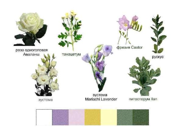 Названия цветов для букетов