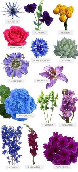 Язык цветов