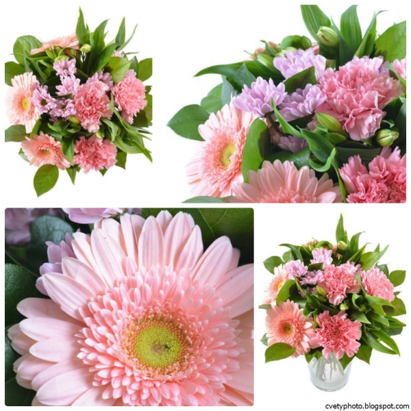 Названия цветов срезка