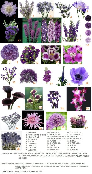 Цветы названия