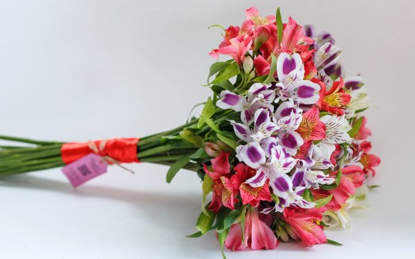 Эустома лизиантус