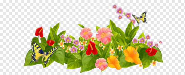 Летние цветы на прозрачном фоне
