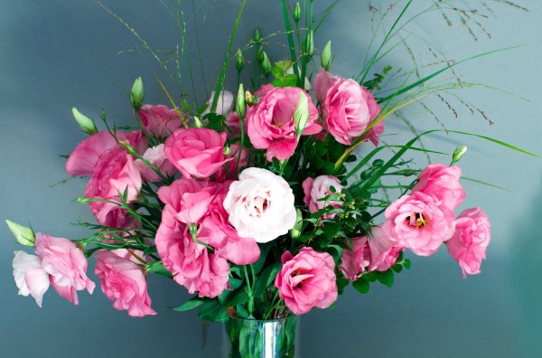 Экзотические цветы для букетов