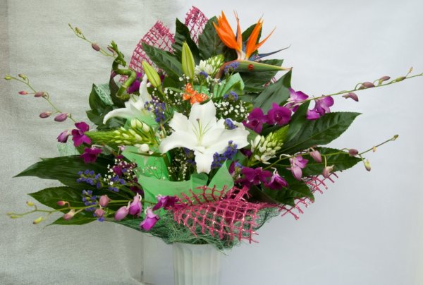 Альстромерия цветы