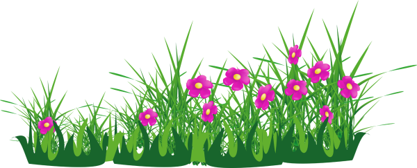 Цветы клумба вектор