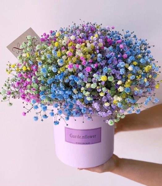 Альстромерия Гринфилд