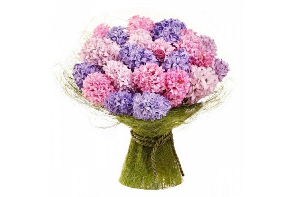 Синие цветы с названиями срезка