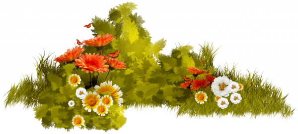 Осенняя Поляна на прозрачном фоне