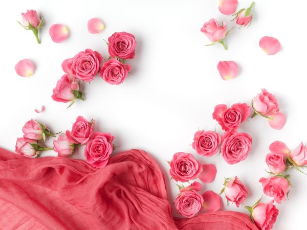 Красивый нежный цветочный фон