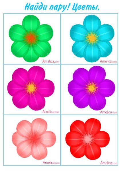 Цветочки разных цветов для детей