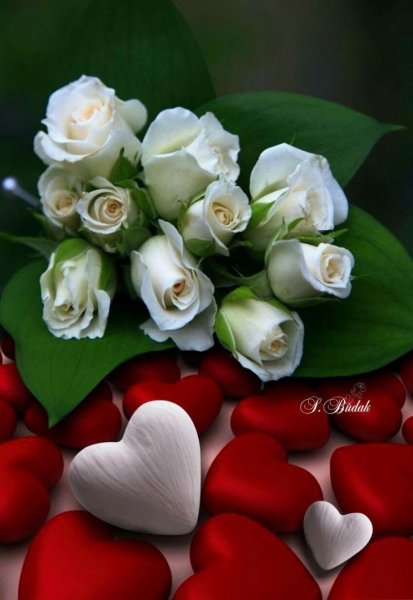 Огромный букет роз на кровати