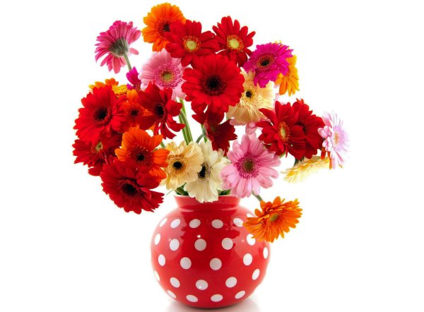 Яркие цветы в вазе