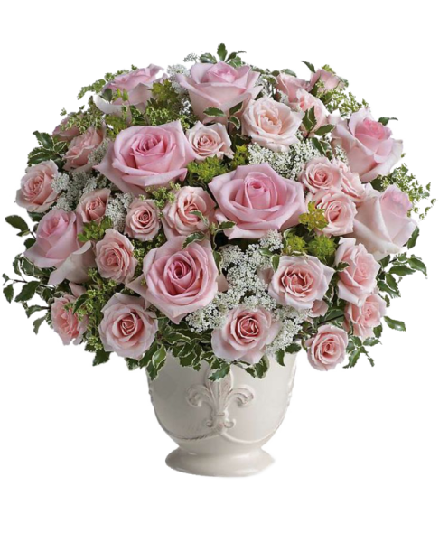 Роза кустовая Фил Флауэрс