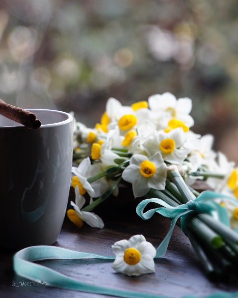Весенние цветы и кофе