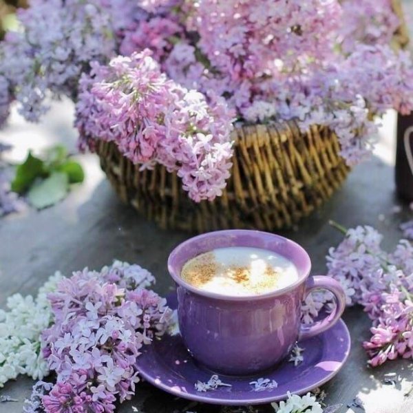 Доброе Весеннее утро