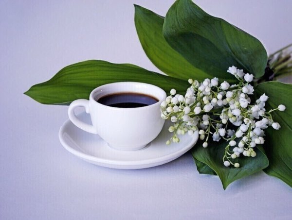 Чашка кофе и Ландыши