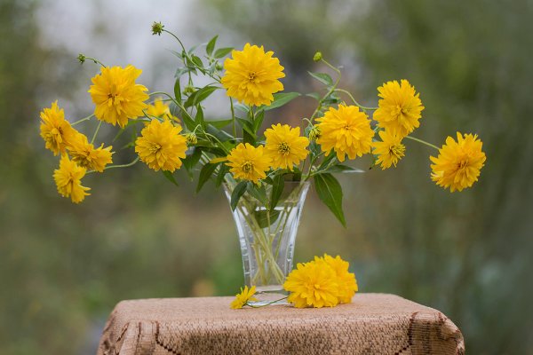 Букет из рудбекии золотой шар