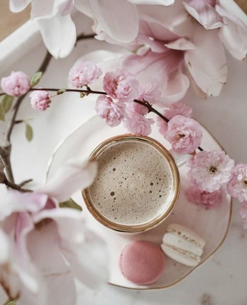 Нежные цветы и кофе