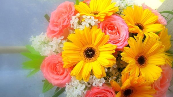 Цветы поздравления