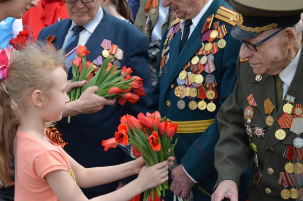 Гвоздики ветеранам