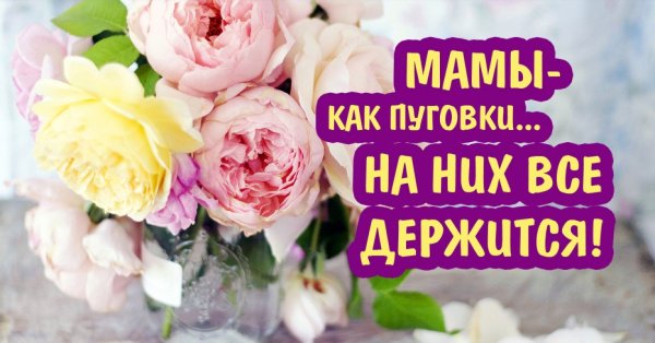 Сдём матери поздравления