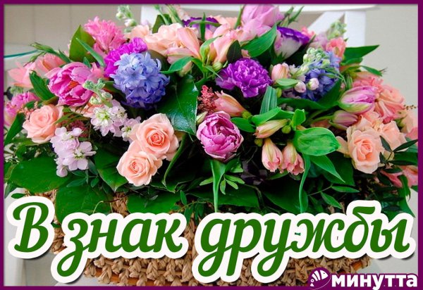 Открытки спасибо за дружбу