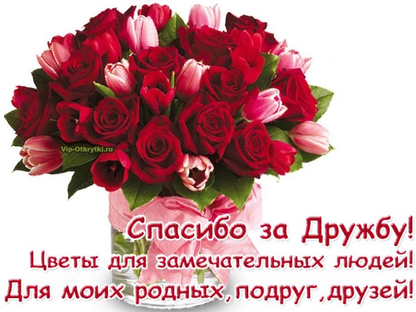 Приятного утра и доброго дня