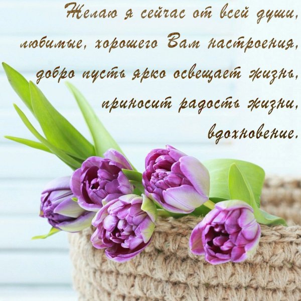 Букет цветов для друзей