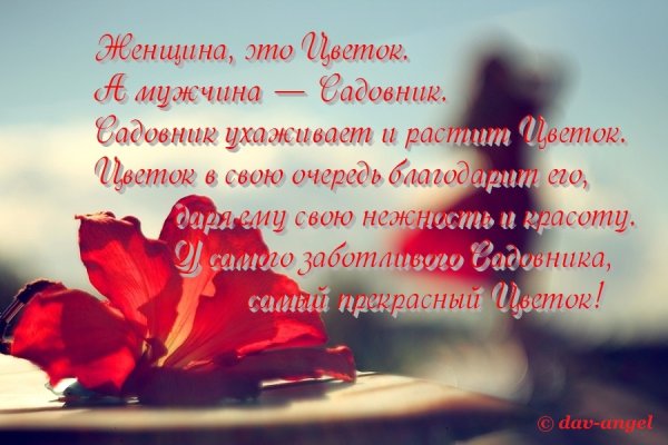 Романтические открытки для девушки