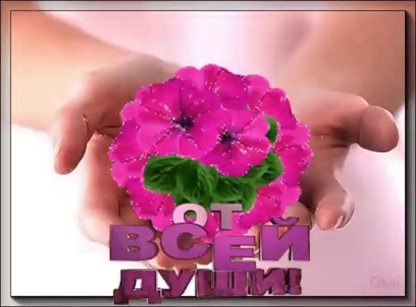 Цветы поздравления